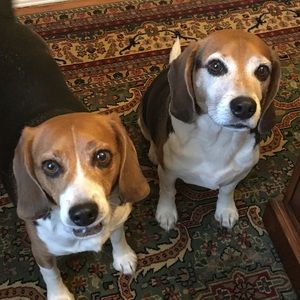 Meet your Posher, Kevin